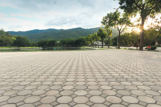 Best Concrete Paver Driveway  in Zebulon, GA