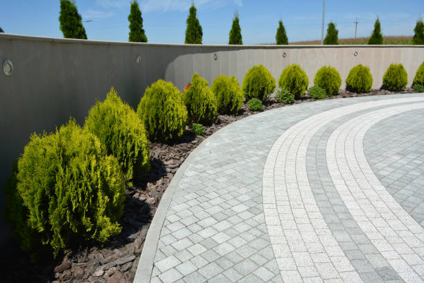 Best Professional Driveway Pavers  in Zebulon, GA